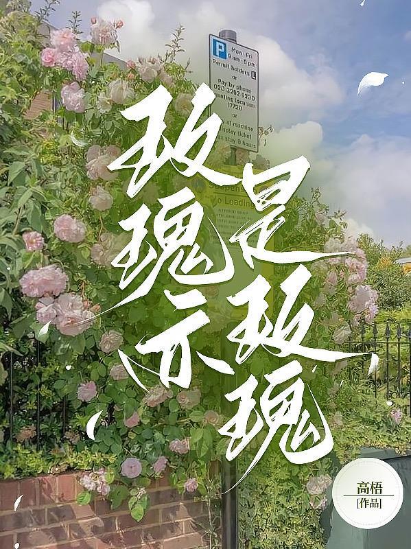 穿越之妆容天下 ...