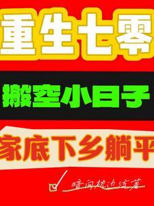 重生六零年代政府大院