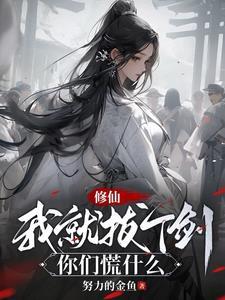 重生从乡镇当大官的