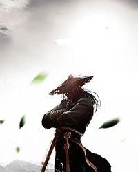 他是武林高手