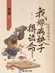 杨千紫短篇集合在线观看